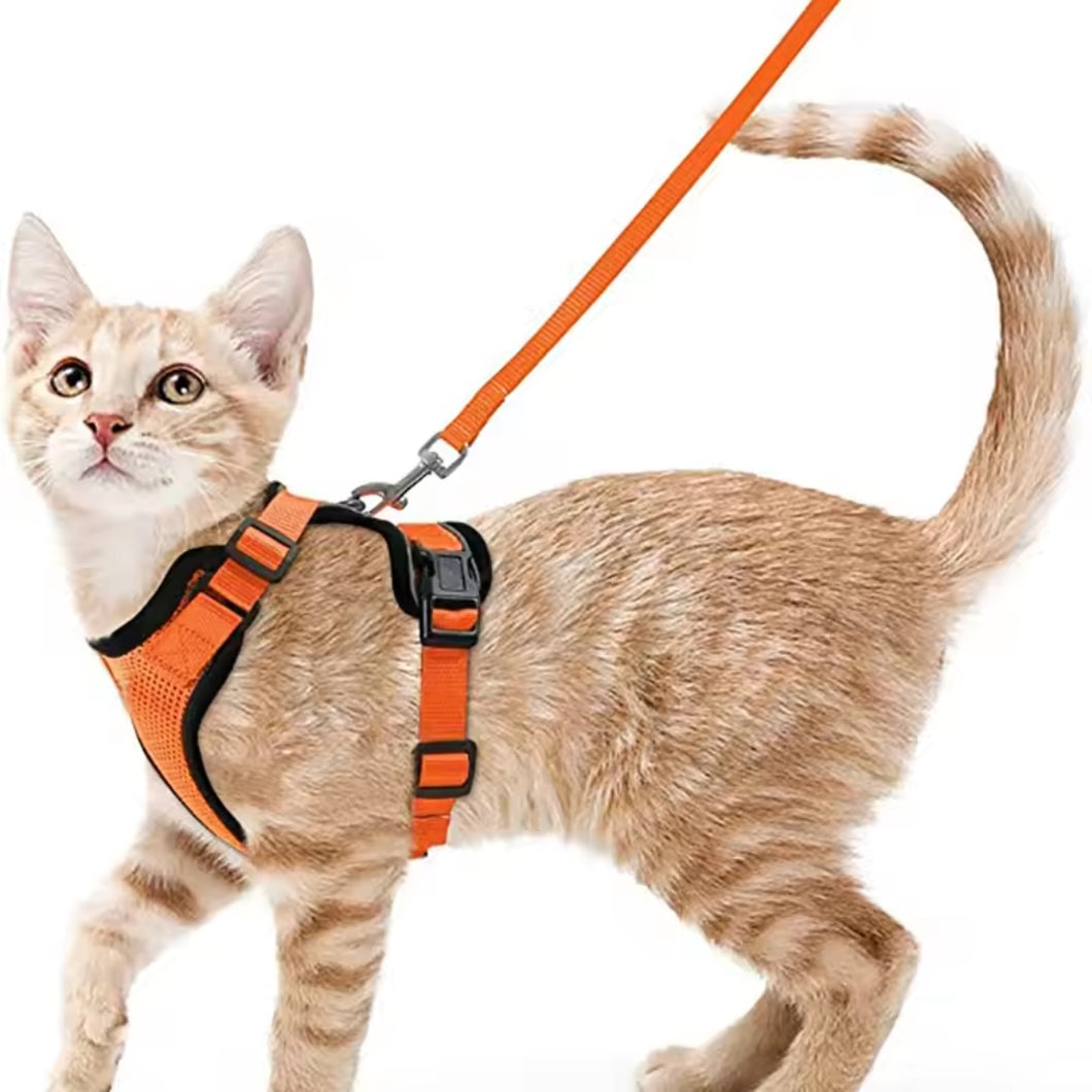 Arnés transpirante Melton para gatos