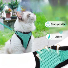 Cargar imagen en el visor de la galería, Arnés transpirante Melton para gatos
