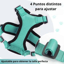 Cargar imagen en el visor de la galería, Arnés transpirante Melton para gatos
