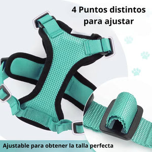 Arnés transpirante Melton para gatos