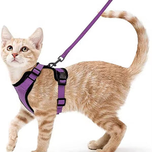 Arnés transpirante Melton para gatos