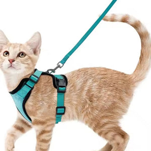 Arnés transpirante Melton para gatos