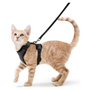 Arnés transpirante Melton para gatos
