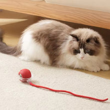 Cargar imagen en el visor de la galería, Jugete pelota inteligente ChaseBall para gatos
