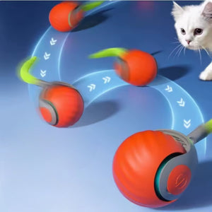 Jugete pelota inteligente Correcaminos para gatos