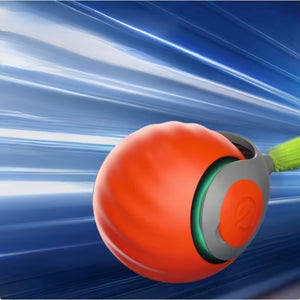 Jugete pelota inteligente Correcaminos para gatos