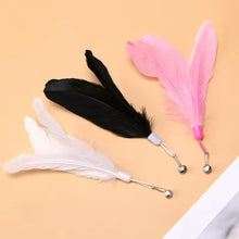 Cargar imagen en el visor de la galería, Juguete Stick  interactivo Flyming para gatos
