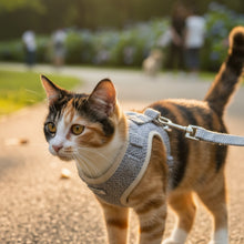 Cargar imagen en el visor de la galería, Arnés ajustable Teddy para gatos
