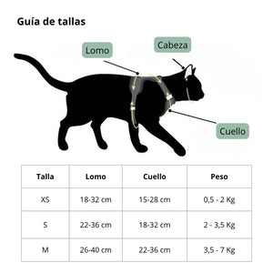 Correa arnés con alas Angel para gatos