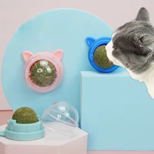Cargar imagen en el visor de la galería, Bola de catnip hierba gatera giratoria CatRoll para pared
