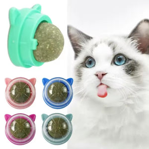 Bola de catnip hierba gatera giratoria CatRoll para pared