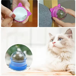 Bola de catnip hierba gatera giratoria CatRoll para pared