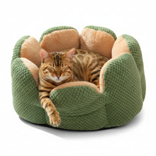 Cargar imagen en el visor de la galería, Cama suave Cactus para gatos
