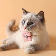Cargar imagen en el visor de la galería, Collar Sweet flower para gatos - Gatufy
