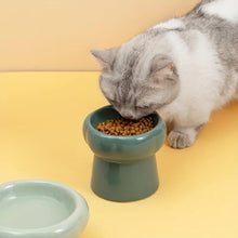 Cargar imagen en el visor de la galería, Comedero bebedero elevado cerámica para gatos Bonzai - Gatufy
