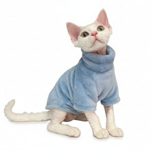 Cargar imagen en el visor de la galería, Jersey Suéter Coquette cálido para gatos
