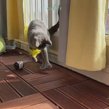 Cargar y reproducir el video en el visor de la galería, Juguete Rolling Ball interactivo para gatos
