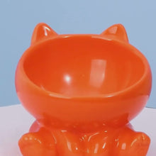 Cargar y reproducir el video en el visor de la galería, Comedero bebedero cerámica Cat Bowl para gatos
