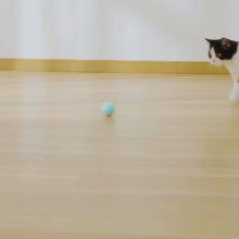 Cargar y reproducir el video en el visor de la galería, Juguete bola interactiva BalanceCat inteligente para gatos
