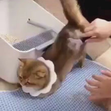 Cargar y reproducir el video en el visor de la galería, Cepillo deslanador tipo Furminator para gatos removedor de pelo autolimpiable
