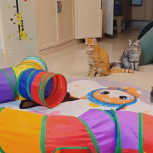 Cargar y reproducir el video en el visor de la galería, Juguete Tunel interactivo Rainbow para gatos
