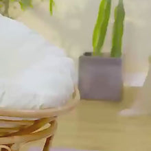 Cargar y reproducir el video en el visor de la galería, Dispensador fuente automática de agua Fresh recirculante para gatos
