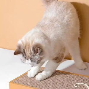 Tabla de rascar RascaMouse de cartón para gatos - Gatufy
