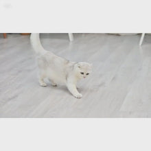 Cargar y reproducir el video en el visor de la galería, Robot puntero láser automático ajustable para gatos
