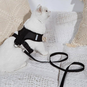 Arnés Catwalk para gatos - Gatufy