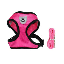 Cargar imagen en el visor de la galería, Arnés Catwalk para gatos - Gatufy
