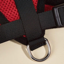 Cargar imagen en el visor de la galería, Arnés Catwalk para gatos - Gatufy
