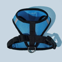 Cargar imagen en el visor de la galería, Arnés Catwalk para gatos - Gatufy
