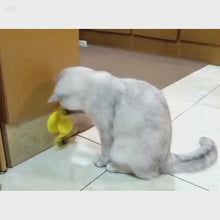 Cargar y reproducir el video en el visor de la galería, Molinillo interactivo con ventosa para gatos
