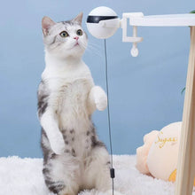 Cargar imagen en el visor de la galería, Bola colgante eléctrica portable para gatos - Gatufy
