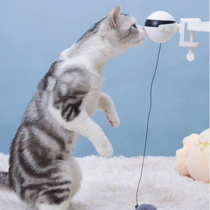 Bola colgante eléctrica portable para gatos - Gatufy