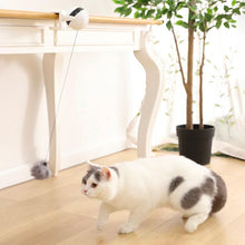Cargar imagen en el visor de la galería, Bola colgante eléctrica portable para gatos - Gatufy
