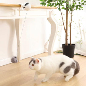 Bola colgante eléctrica portable para gatos - Gatufy