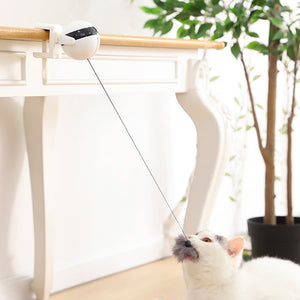 Bola colgante eléctrica portable para gatos