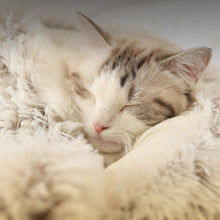 Cargar imagen en el visor de la galería, Cama Cozy para gatos - Gatufy
