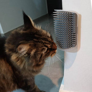 Cepillo esquinero masajeador para gatos - Gatufy
