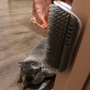 Cepillo esquinero masajeador para gatos - Gatufy