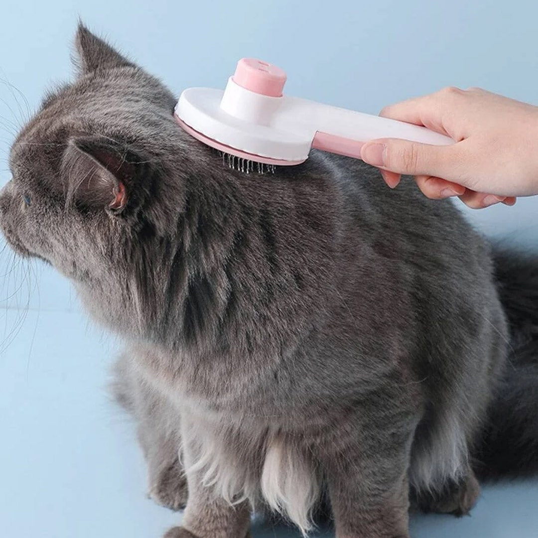 Cepillo Push para gatos