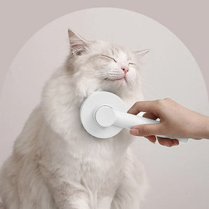 Cepillo Push para gatos - Gatufy