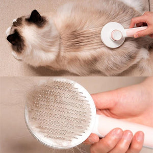 Cepillo Push para gatos - Gatufy
