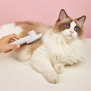 Cepillo Push para gatos - Gatufy