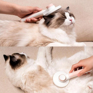 Cepillo Push para gatos - Gatufy