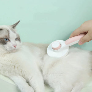 Cepillo Push para gatos - Gatufy