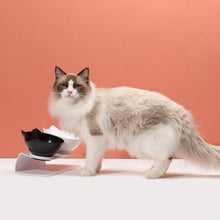 Cargar imagen en el visor de la galería, Comedero doble Kitty para gatos - Gatufy
