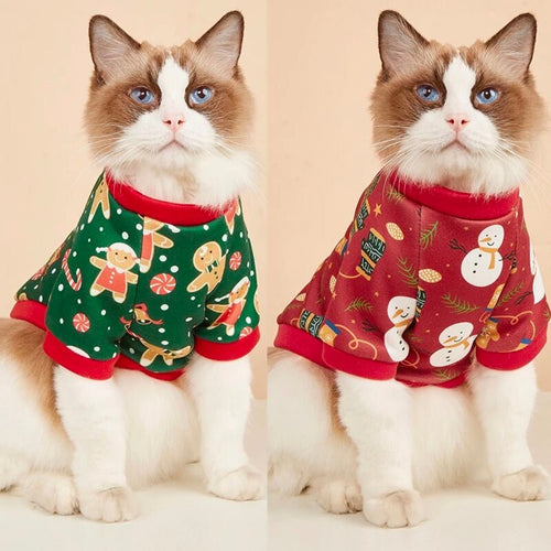 Jersey Suéter cálido Wonderful para gatos - Gatufy