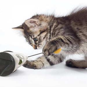 Juguete Rolling Ball interactivo para gatos - Gatufy